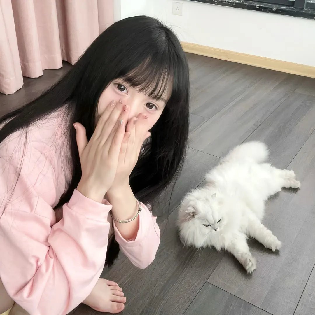 特摄英雄 In the Hero